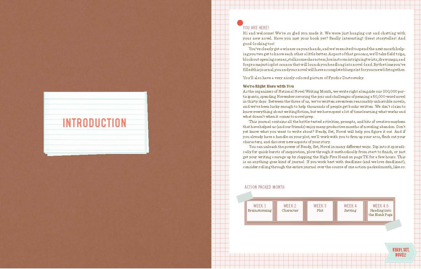 Ready Set Novel! A Workbook