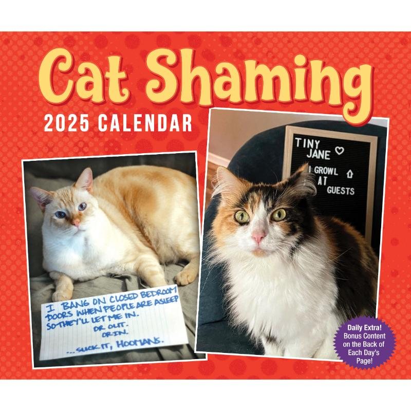 Cat Shaming 2025 Day-to-Day Calendar