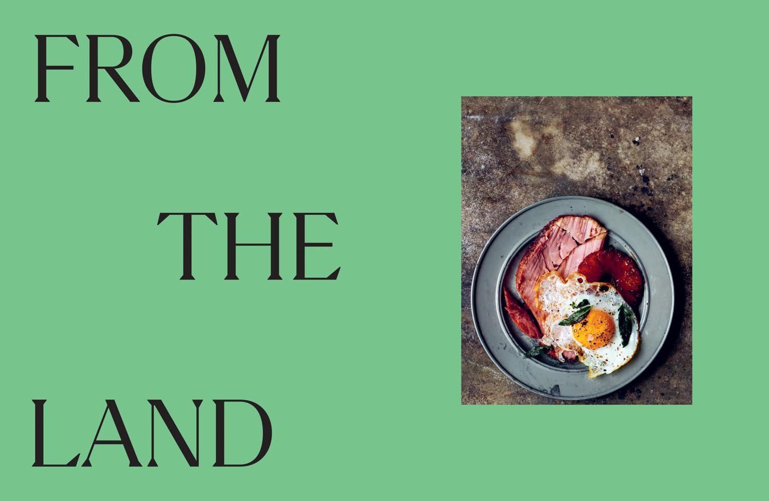 For the Love of Food