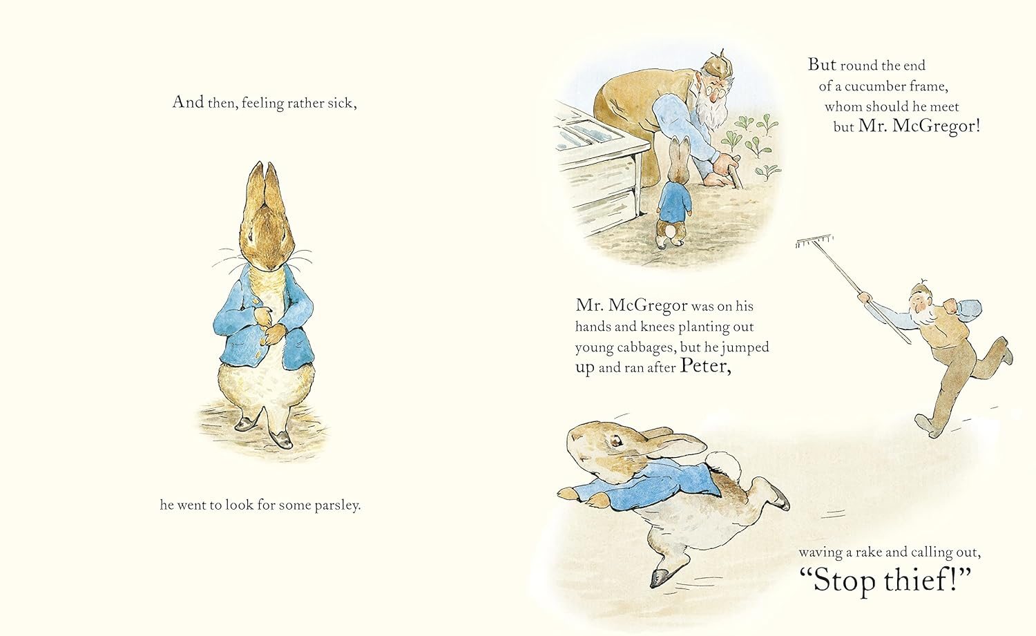 The Tale of Peter Rabbit Picture Book