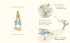 The Tale of Peter Rabbit Picture Book