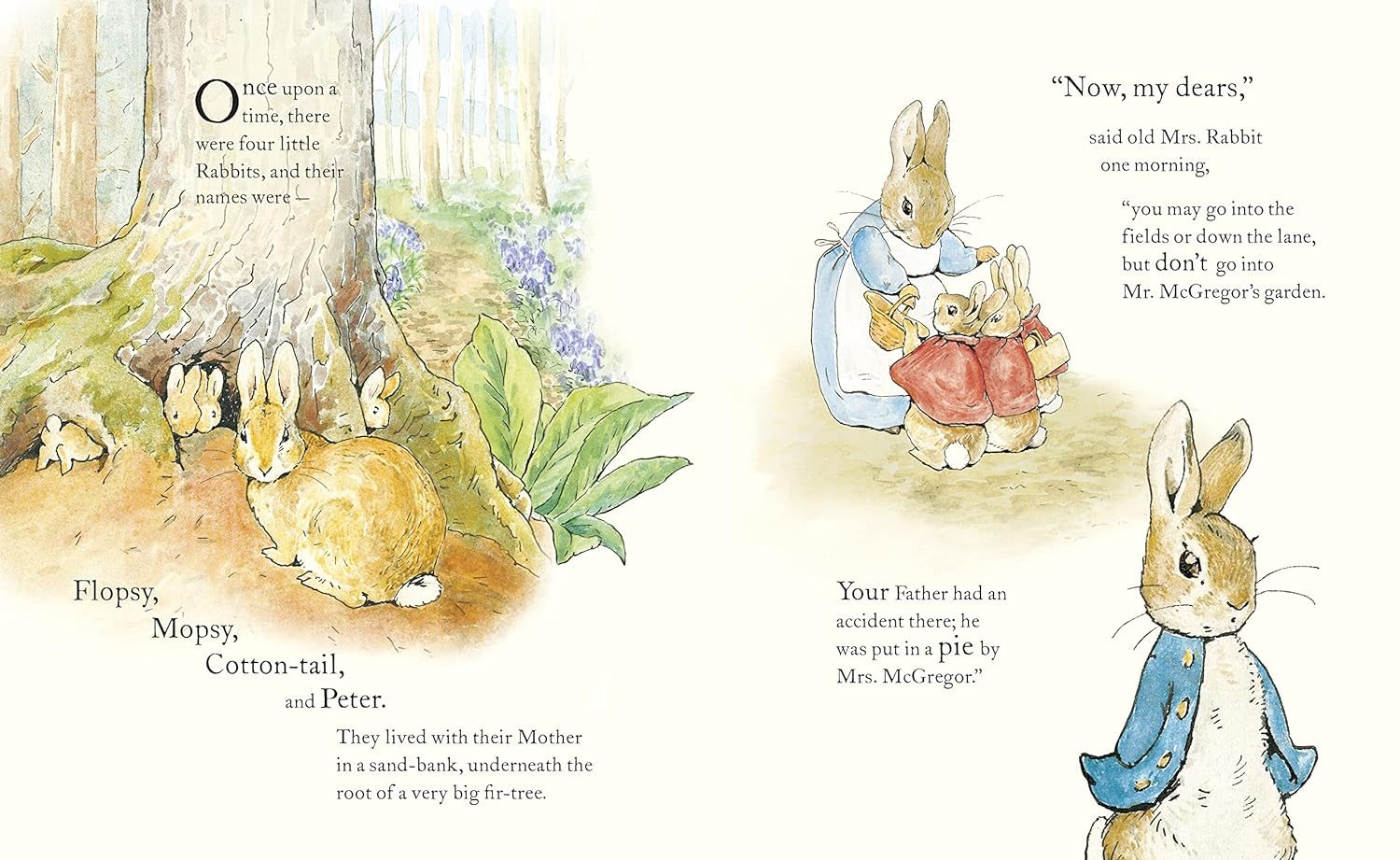 The Tale of Peter Rabbit Picture Book