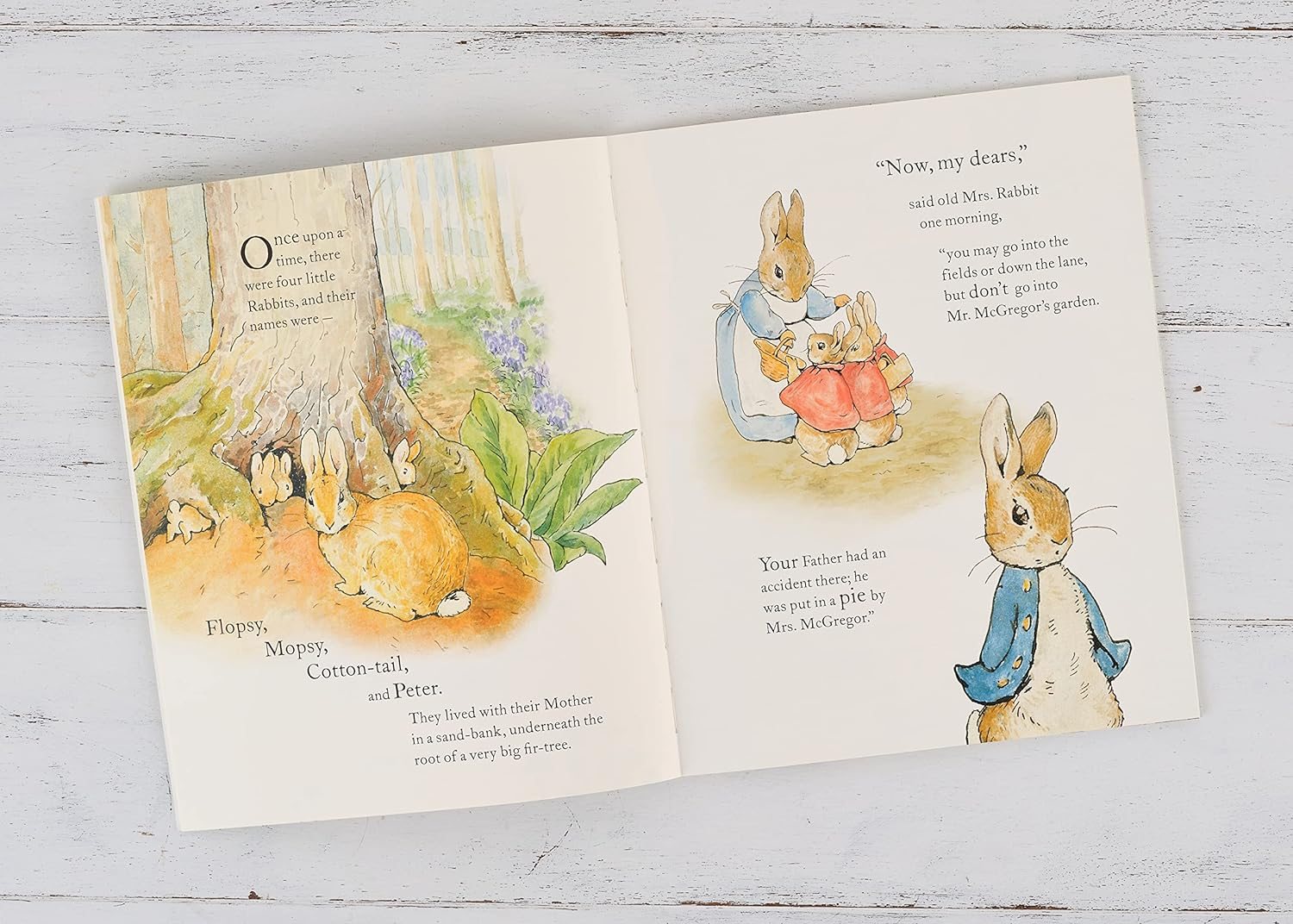 The Tale of Peter Rabbit Picture Book