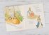 The Tale of Peter Rabbit Picture Book