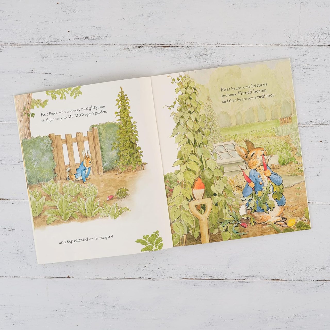 The Tale of Peter Rabbit Picture Book