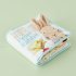 Night Night Peter Rabbit