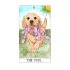 Dog Tarot