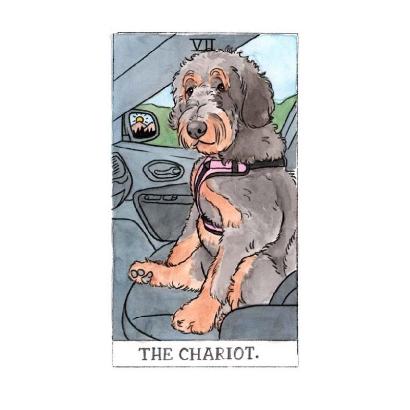Dog Tarot