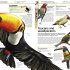 Knowledge Encyclopedia Animal!