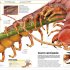 Knowledge Encyclopedia Animal!