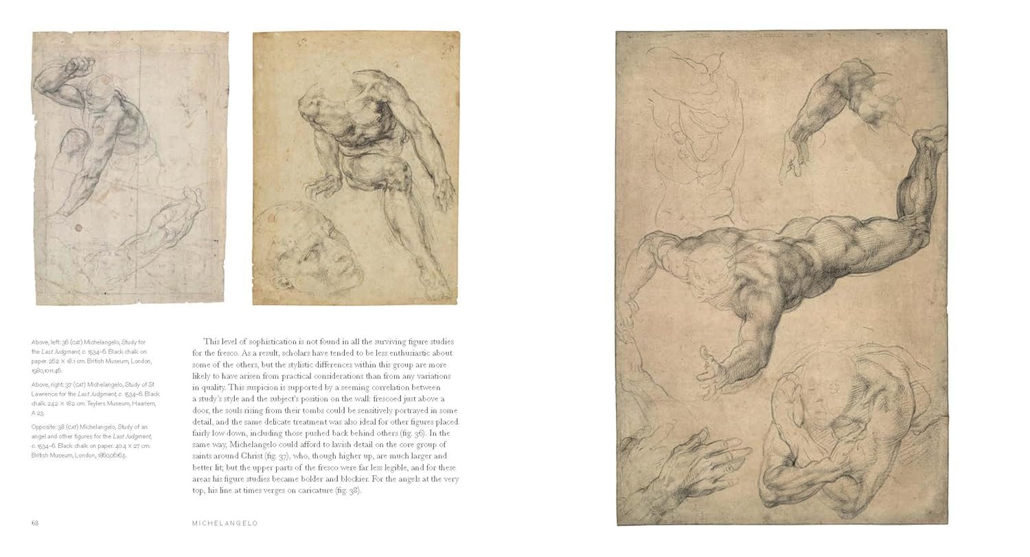 Michelangelo: the last decades