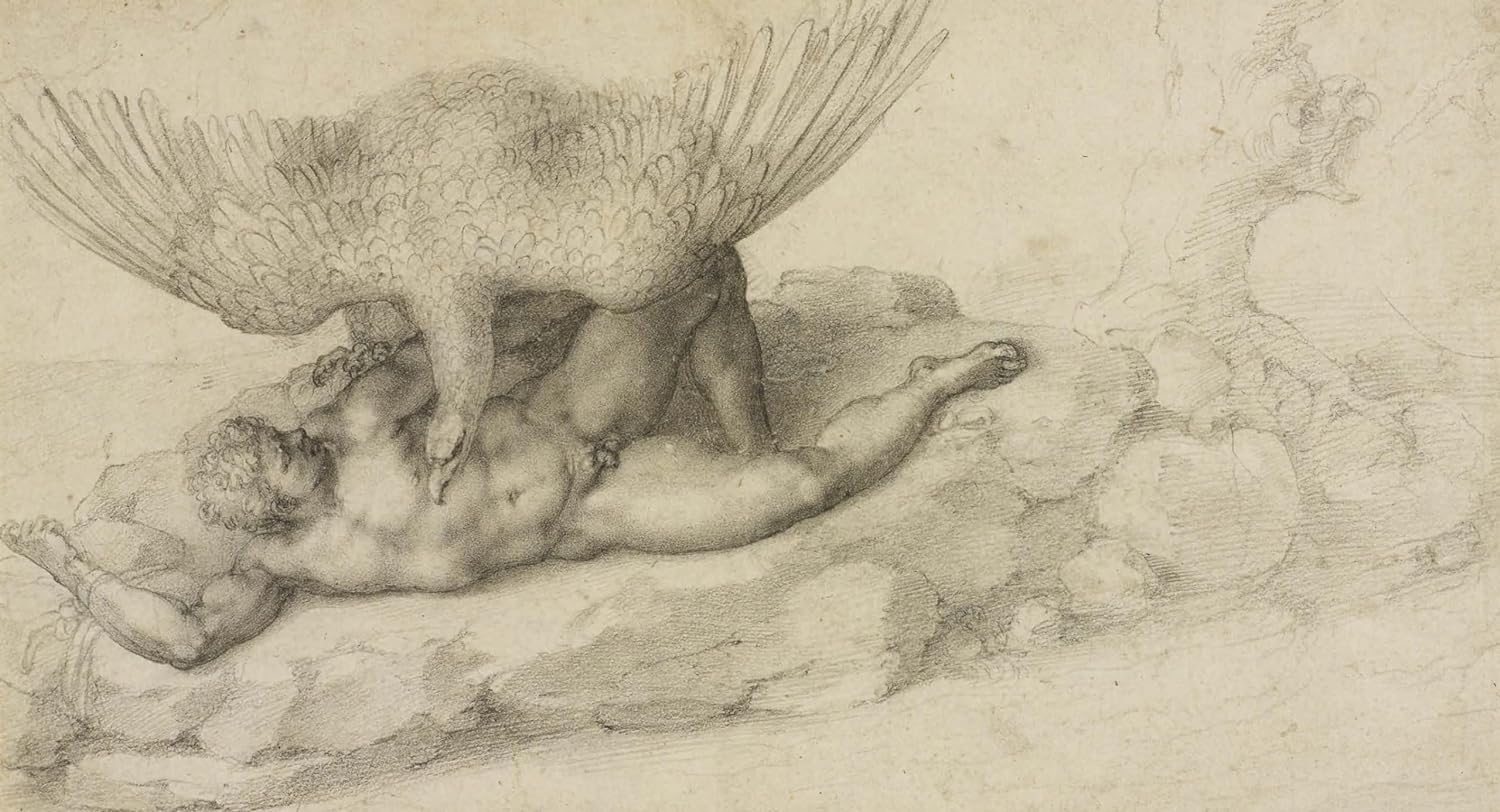 Michelangelo: the last decades