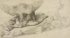Michelangelo: the last decades