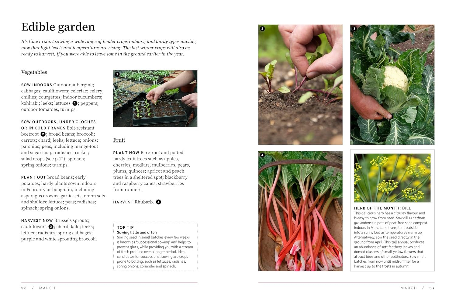 RHS The Garden Almanac 2025
