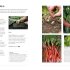 RHS The Garden Almanac 2025