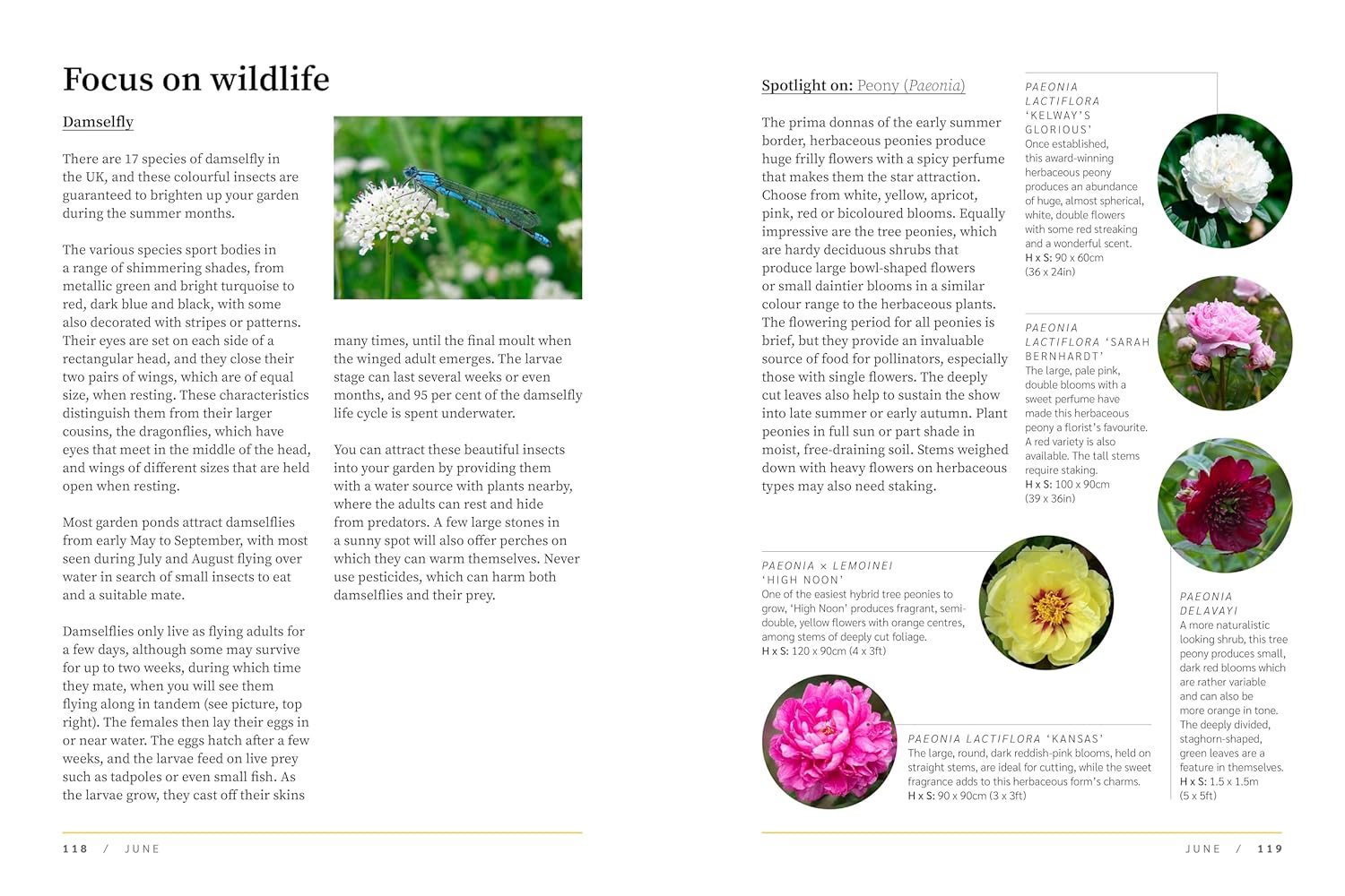 RHS The Garden Almanac 2025