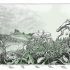 The Forest of a Thousand Eyes