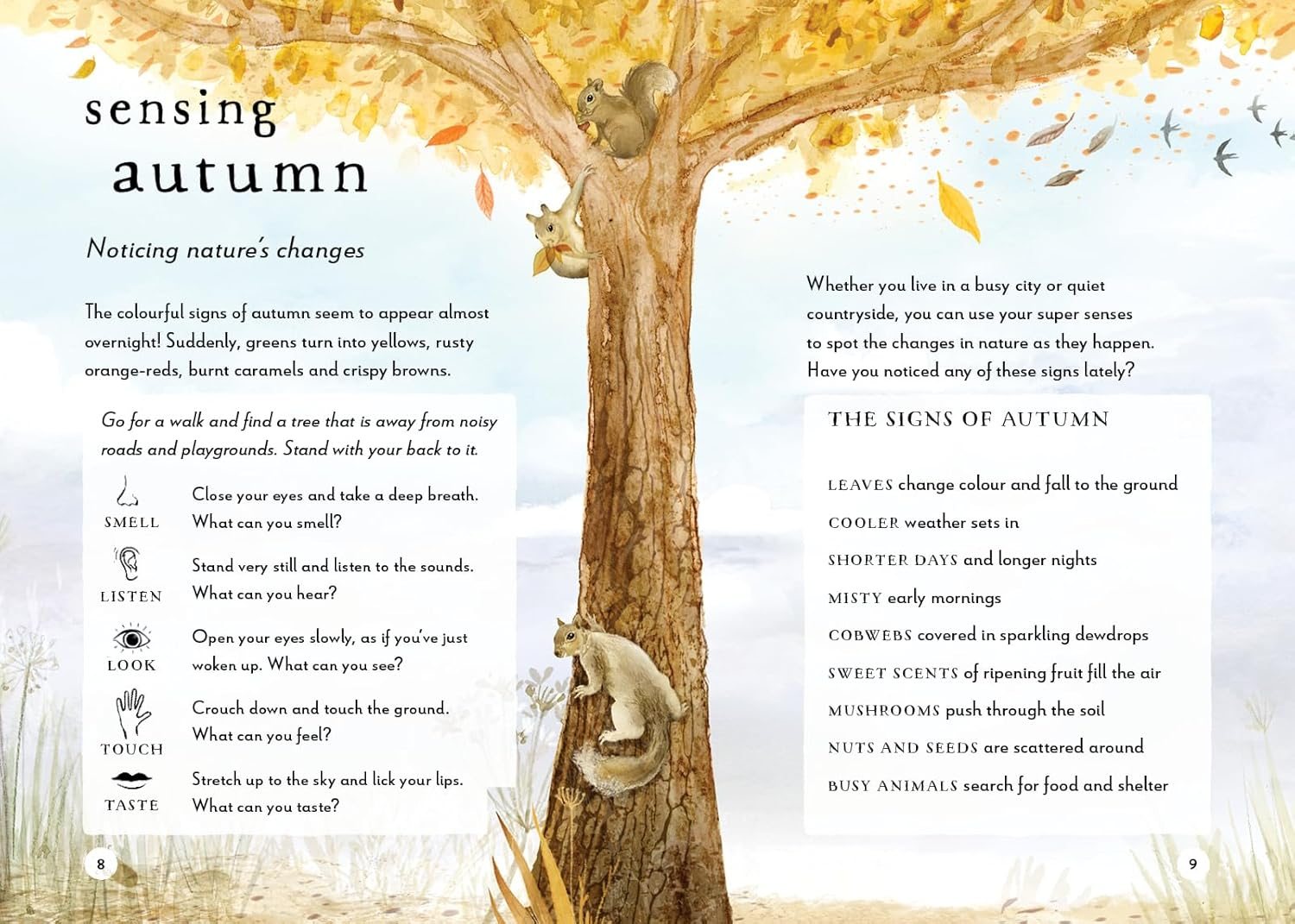 A Field Guide to Autumn