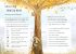 A Field Guide to Autumn