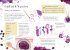 A Field Guide to Autumn