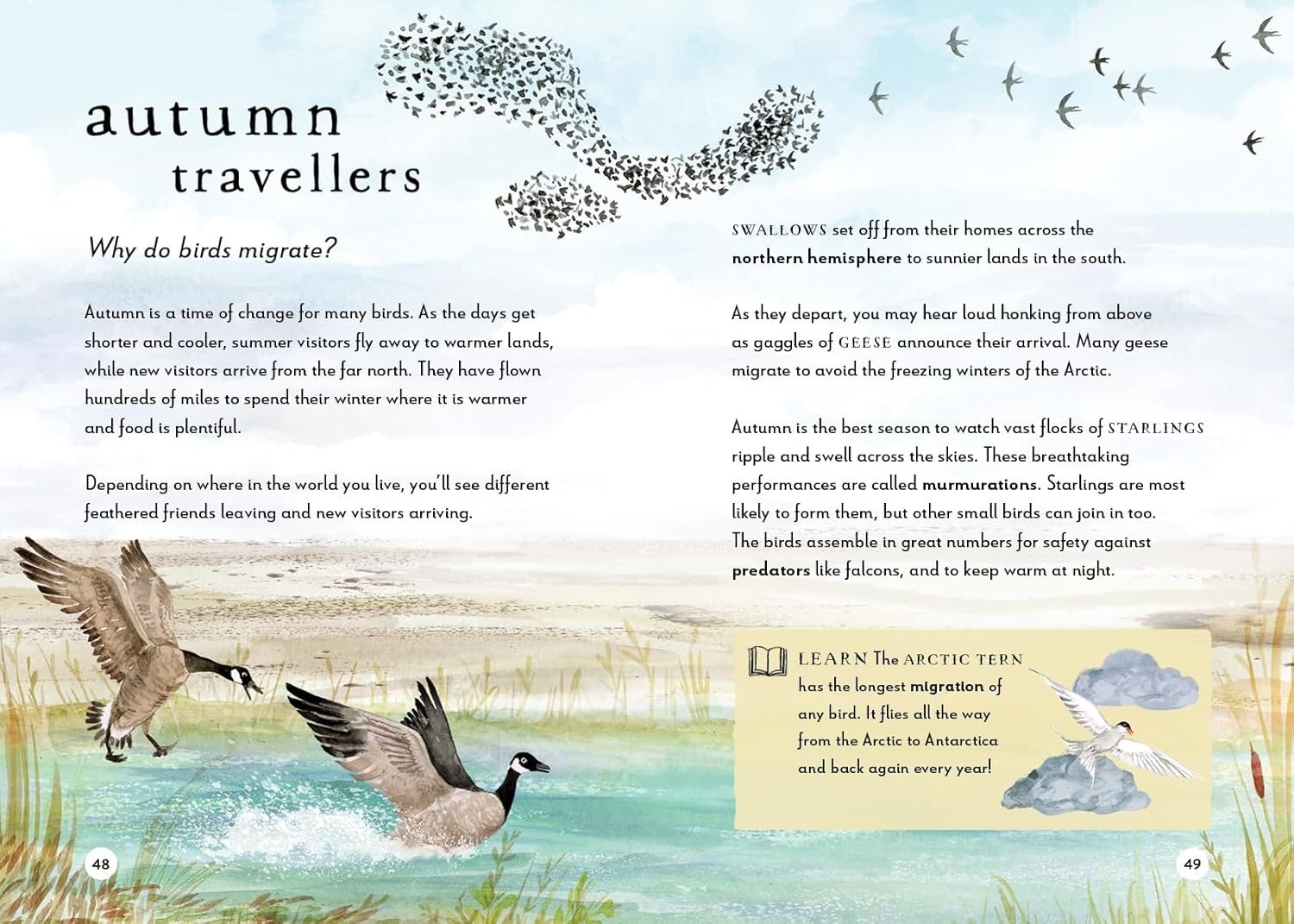A Field Guide to Autumn