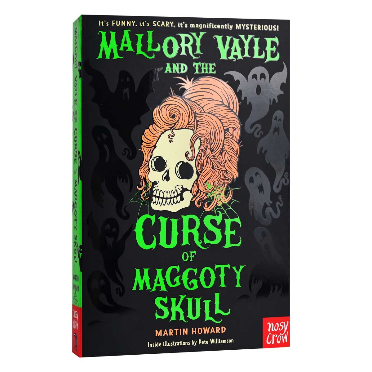 Mallory Vayle and the Curse of Maggoty Skull