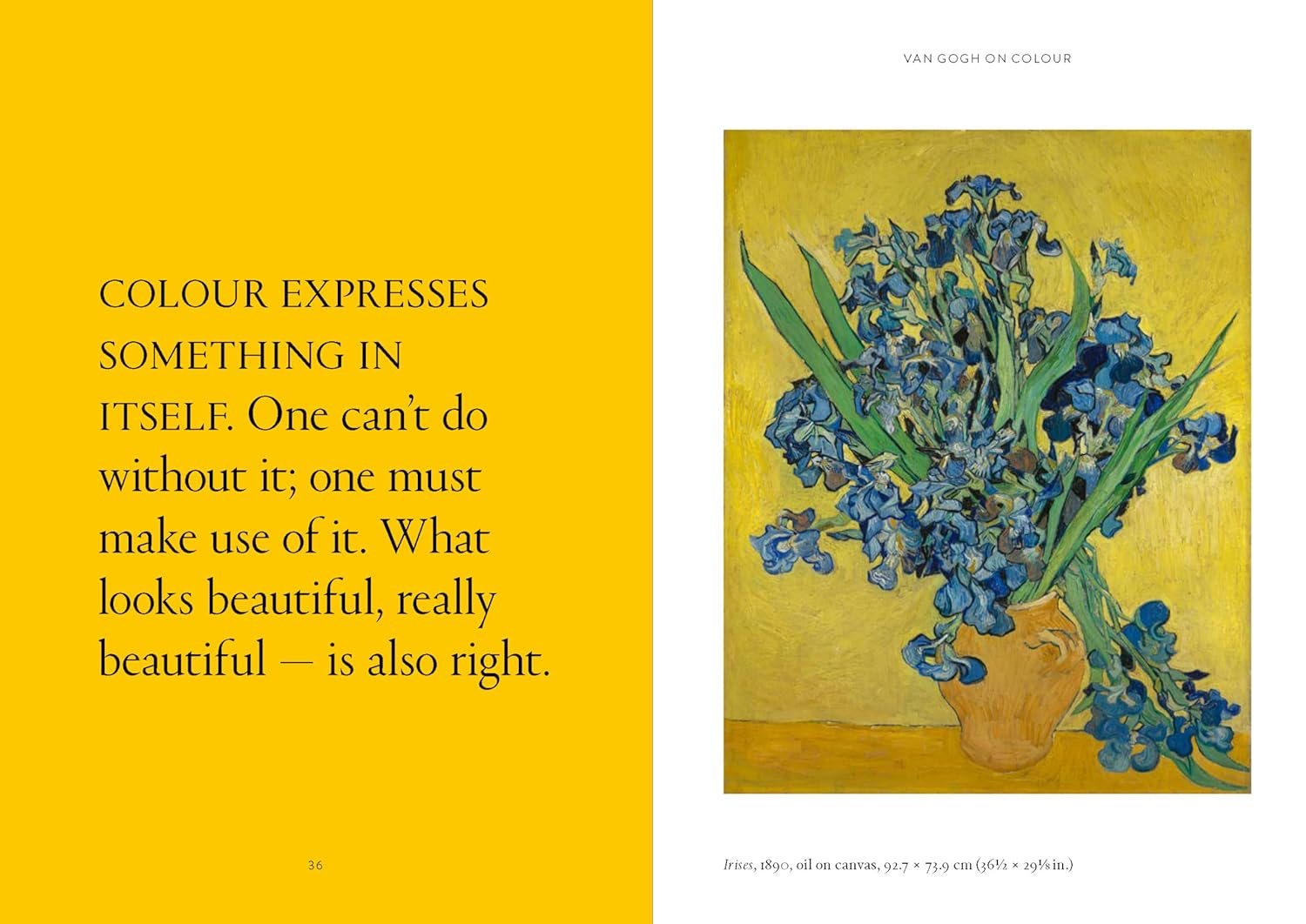 The World According to Vincent van Gogh