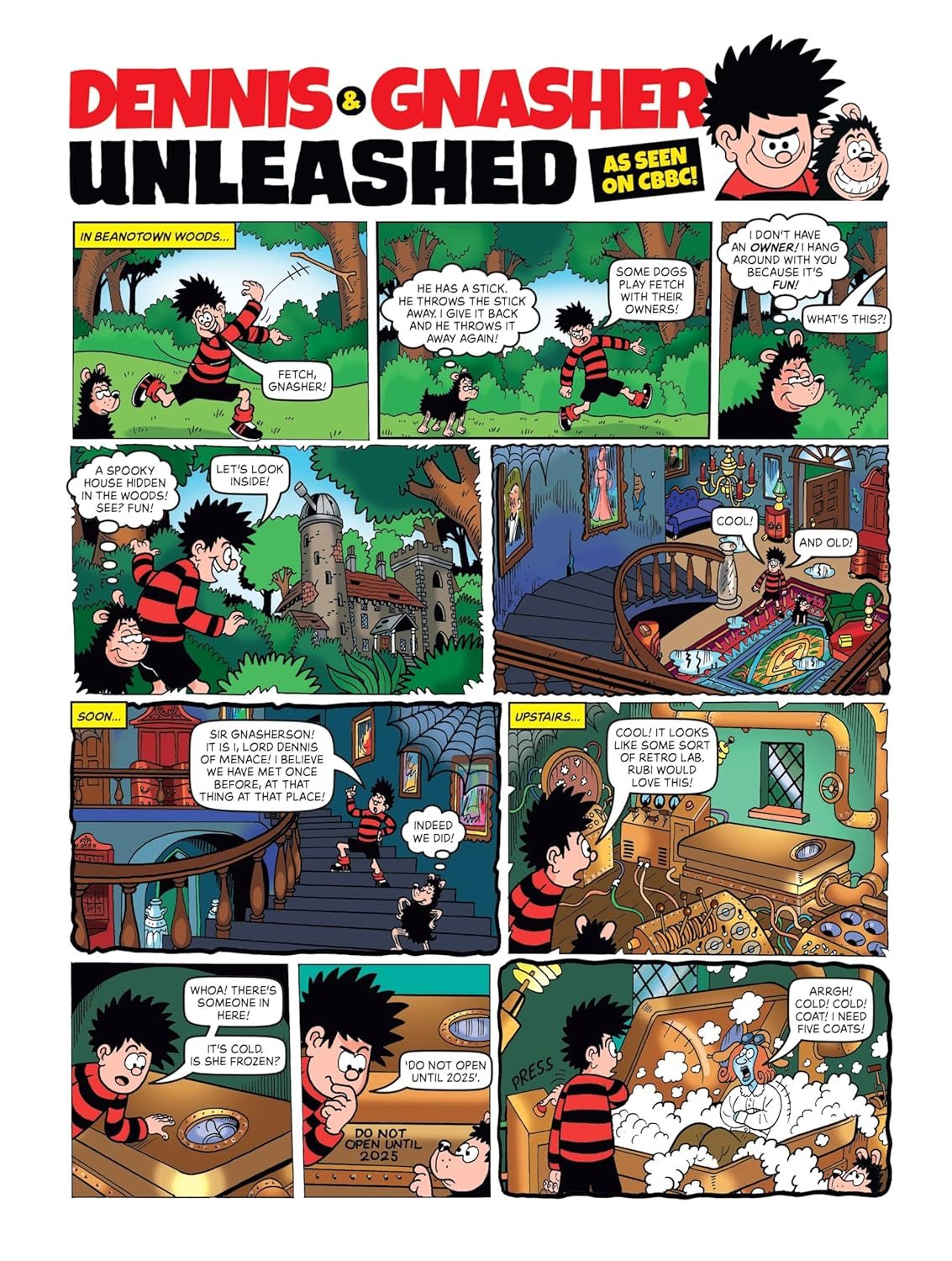 Beano Annual 2025