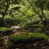 Spanish Gardens