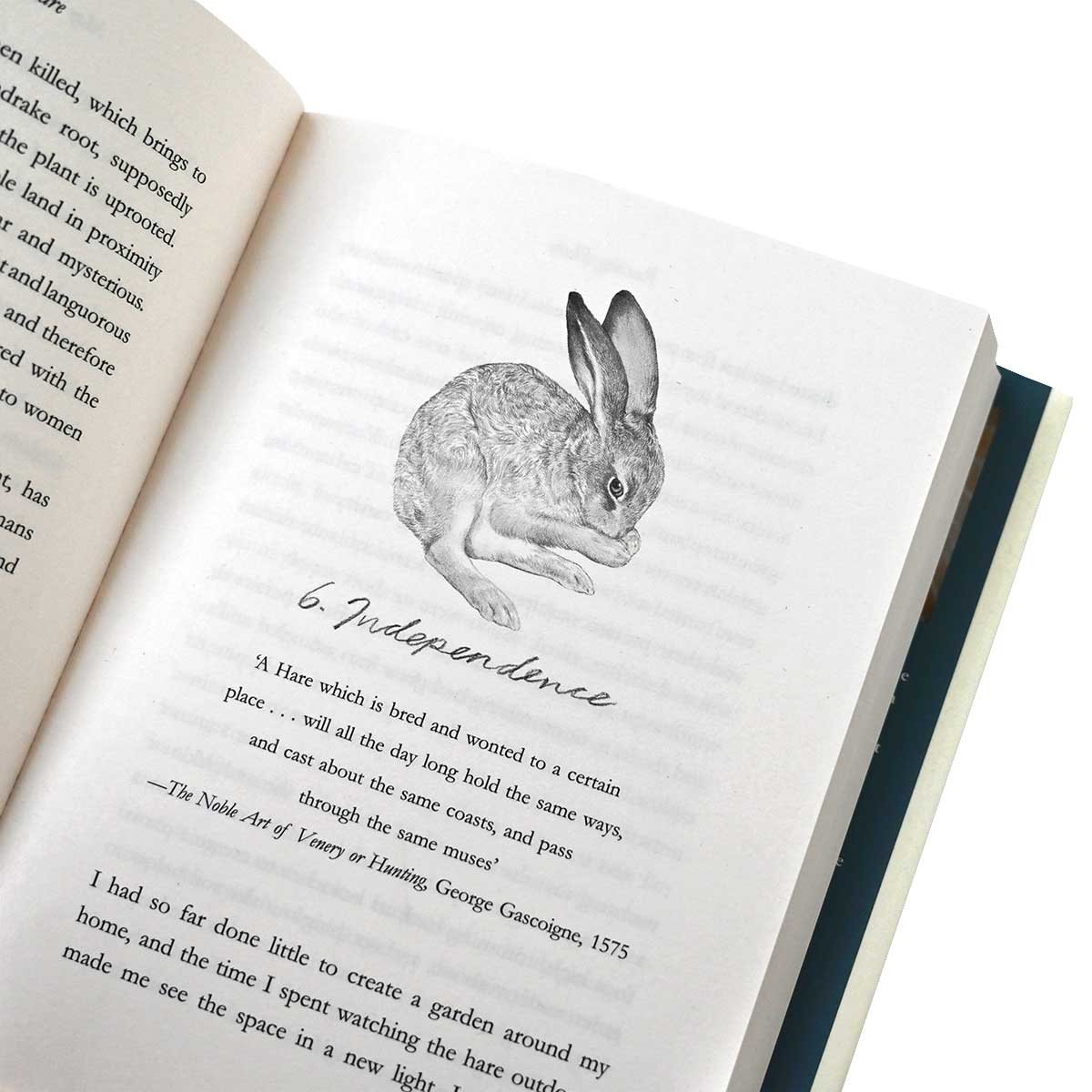 Raising Hare