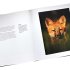 60 Years of Wildlife Photographer of the Year
