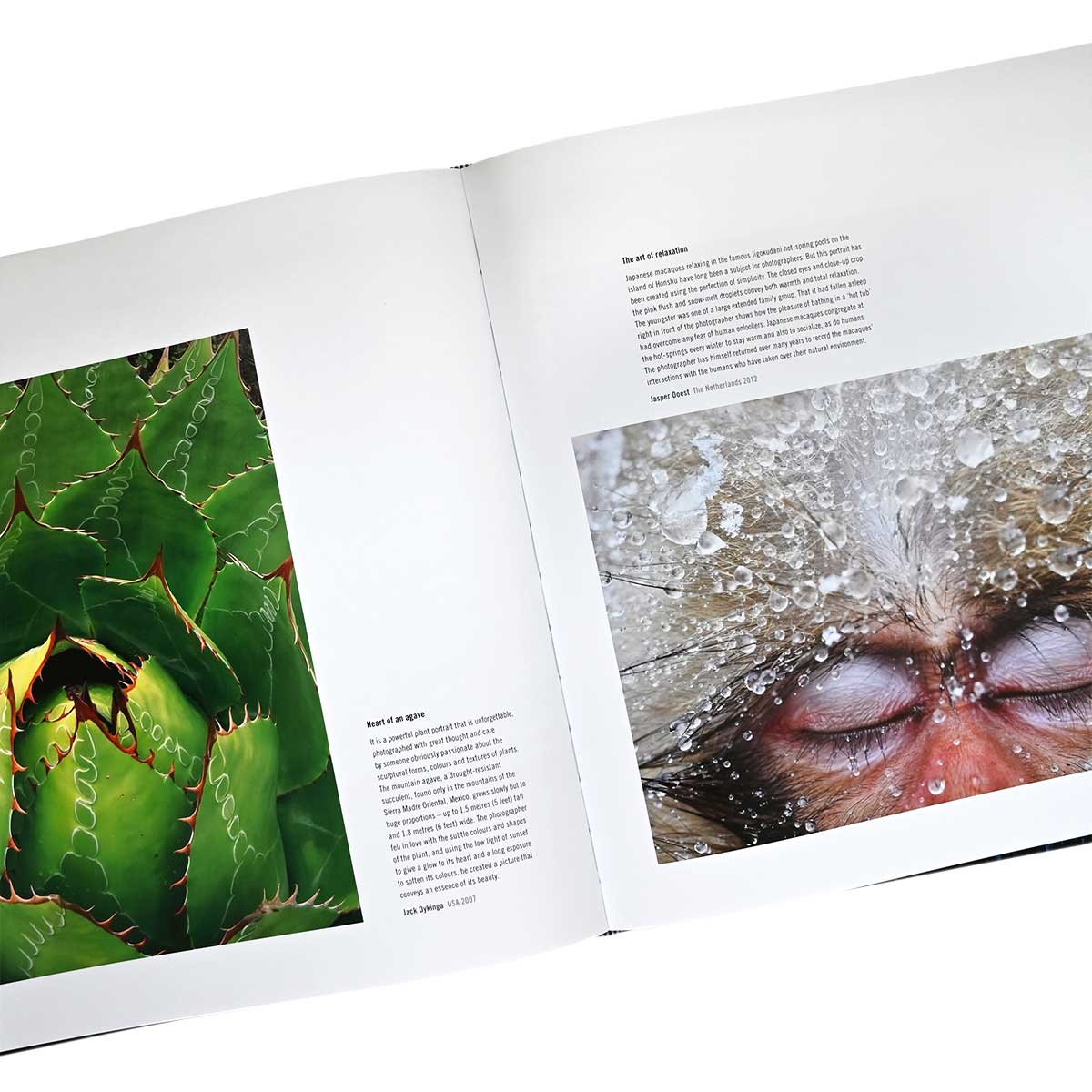 60 Years of Wildlife Photographer of the Year