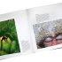 60 Years of Wildlife Photographer of the Year