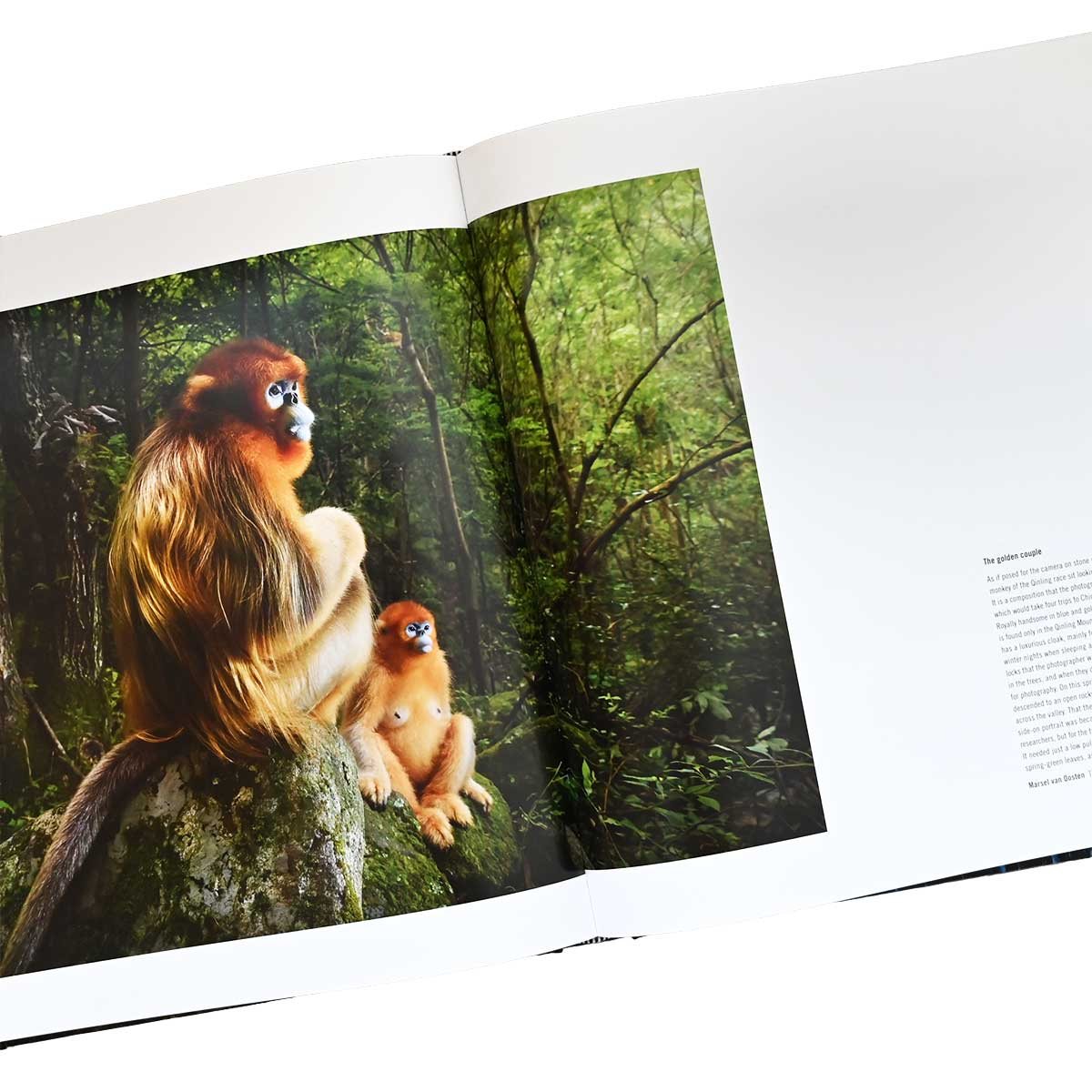 60 Years of Wildlife Photographer of the Year