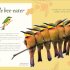 An Anthology of Exquisite Birds