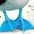 An Anthology of Exquisite Birds