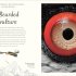 An Anthology of Exquisite Birds