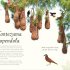 An Anthology of Exquisite Birds