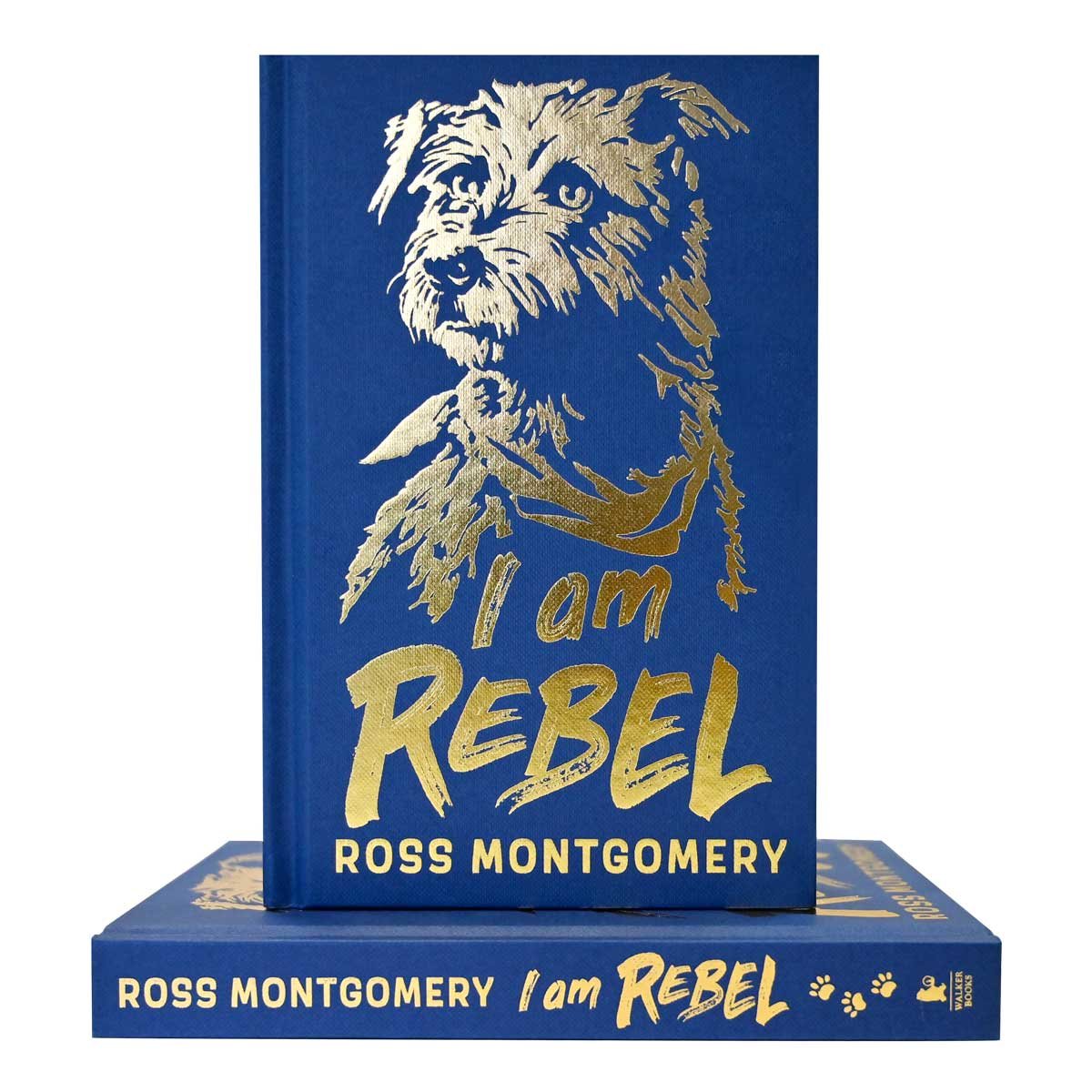 I Am Rebel