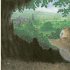 The Owl Who Was Afraid of the Dark