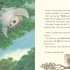 The Owl Who Was Afraid of the Dark