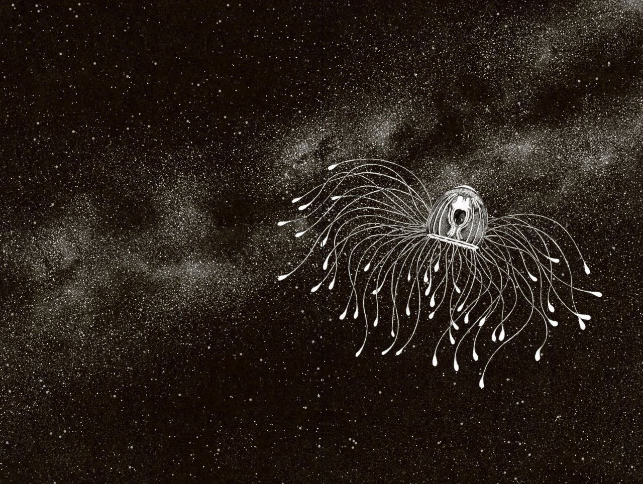 Amazing Jellyfish