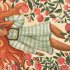 Grimm’s Fairy Tales
