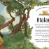 She Speaks: The Women of Greek Myths in Their Own Words