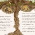 Wisdom of the Woods
