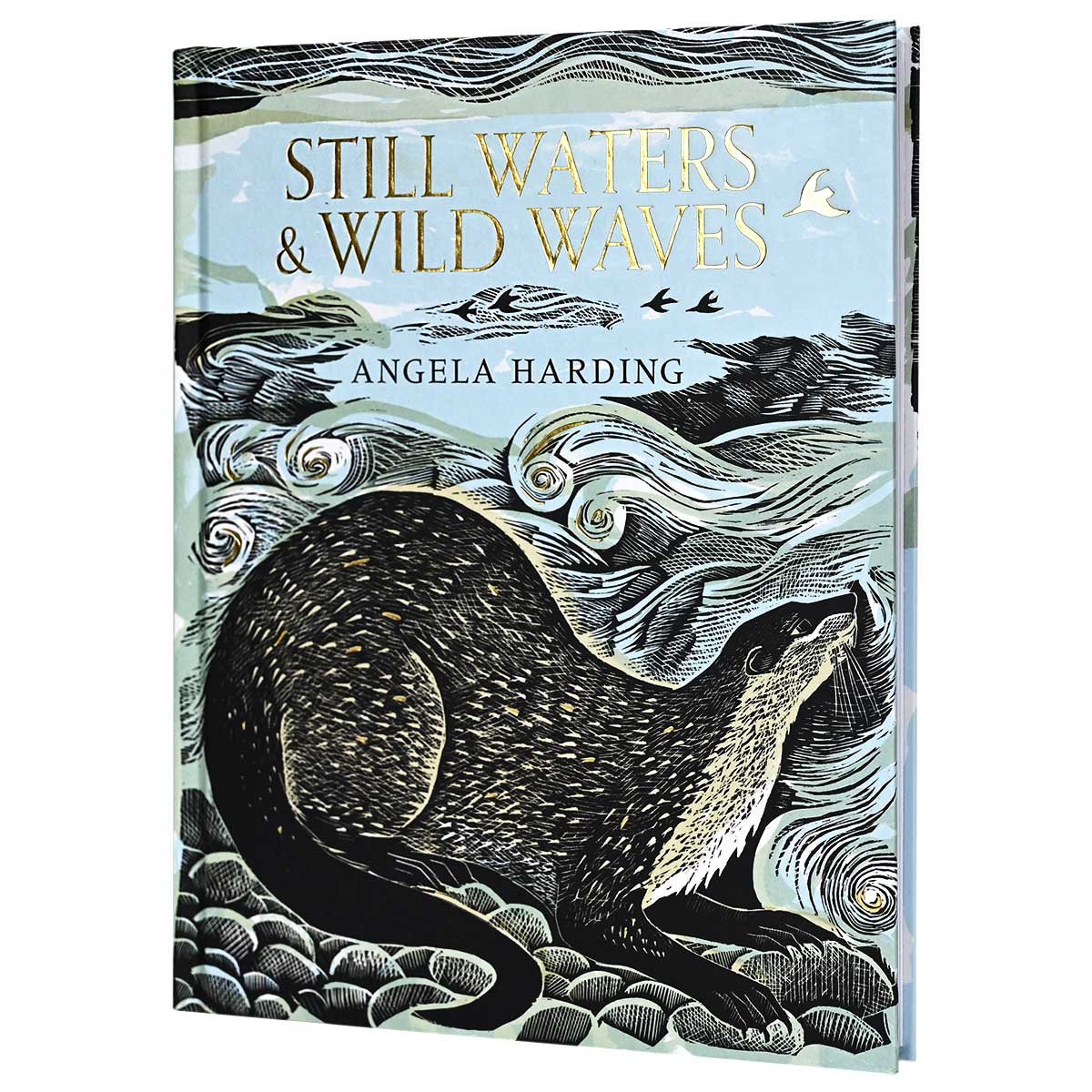 Still Waters & Wild Waves