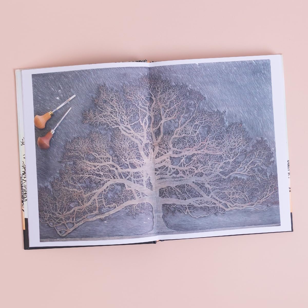 Trees in Winter