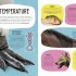 The Animal Body Book