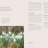How to Design a Garden