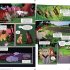 Warriors: Tigerstar and Sasha: 3 Full-Color Warriors Books in 1